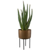 Uttermost Arabia Aloe Planter
