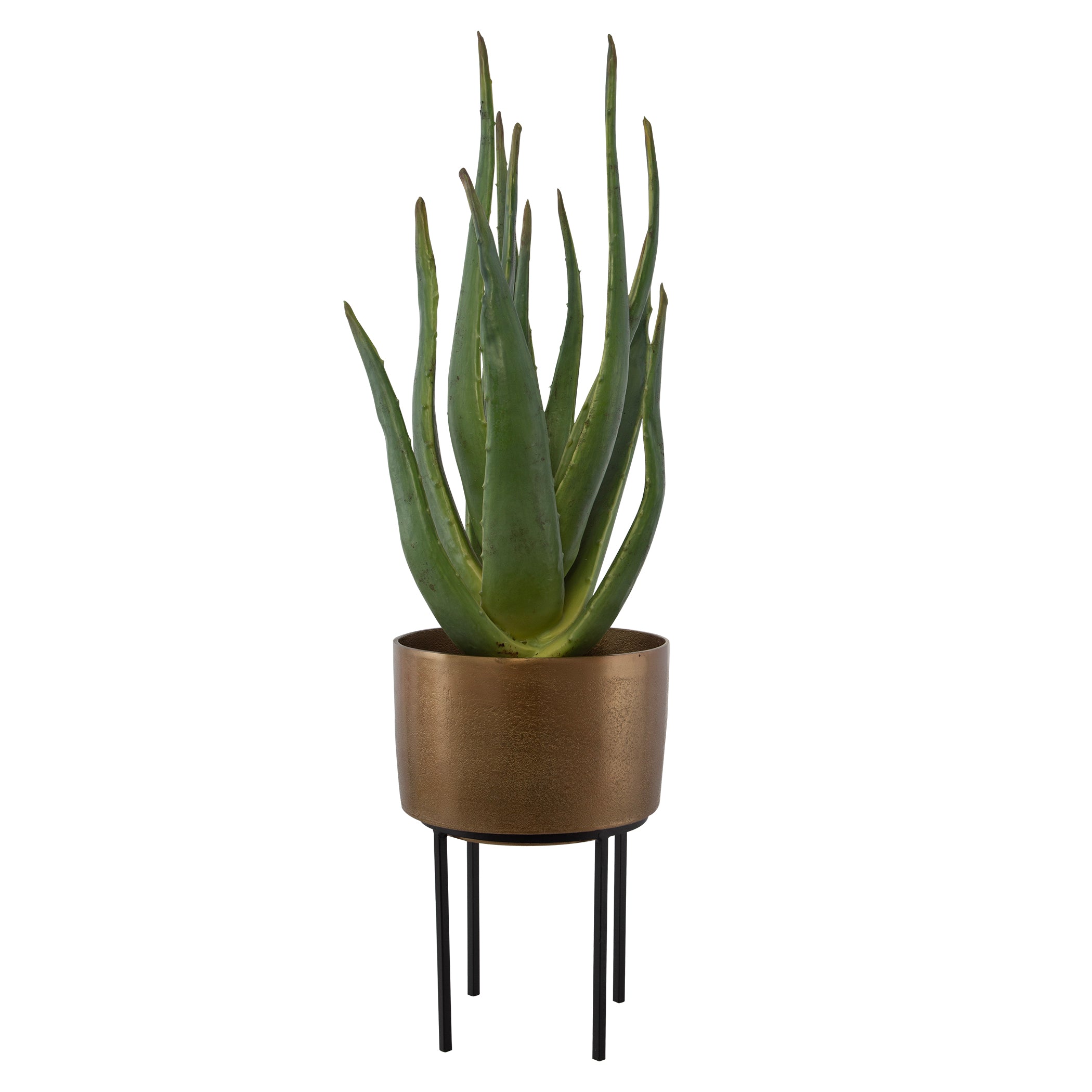 Uttermost Arabia Aloe Planter