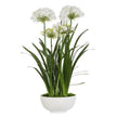 Uttermost Purity Agapanthus Centerpiece