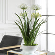 Uttermost Purity Agapanthus Centerpiece