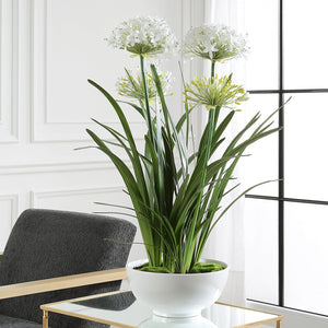 Uttermost Purity Agapanthus Centerpiece