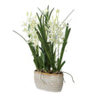 Uttermost Aria Orchid Planter