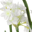 Uttermost Lacey Daffodil Accent Arrangement