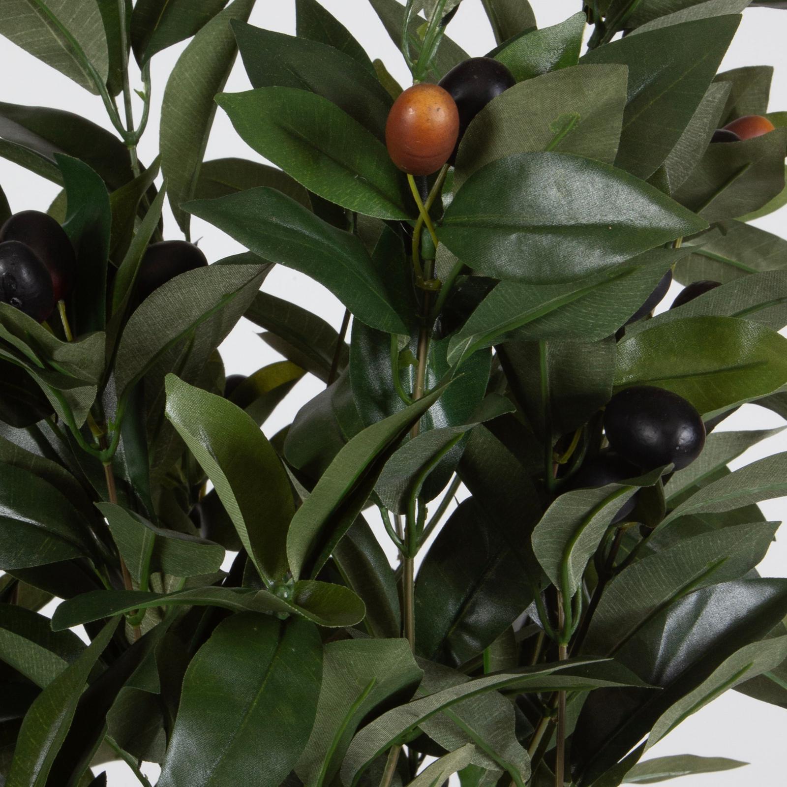 Uttermost Ele Olive Centerpiece