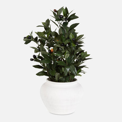 Uttermost Ele Olive Centerpiece