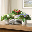 Uttermost Trilogy Primrose Accents In Vases - Set of 3