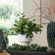 Uttermost Essence Eucalyptus Accent & Vase