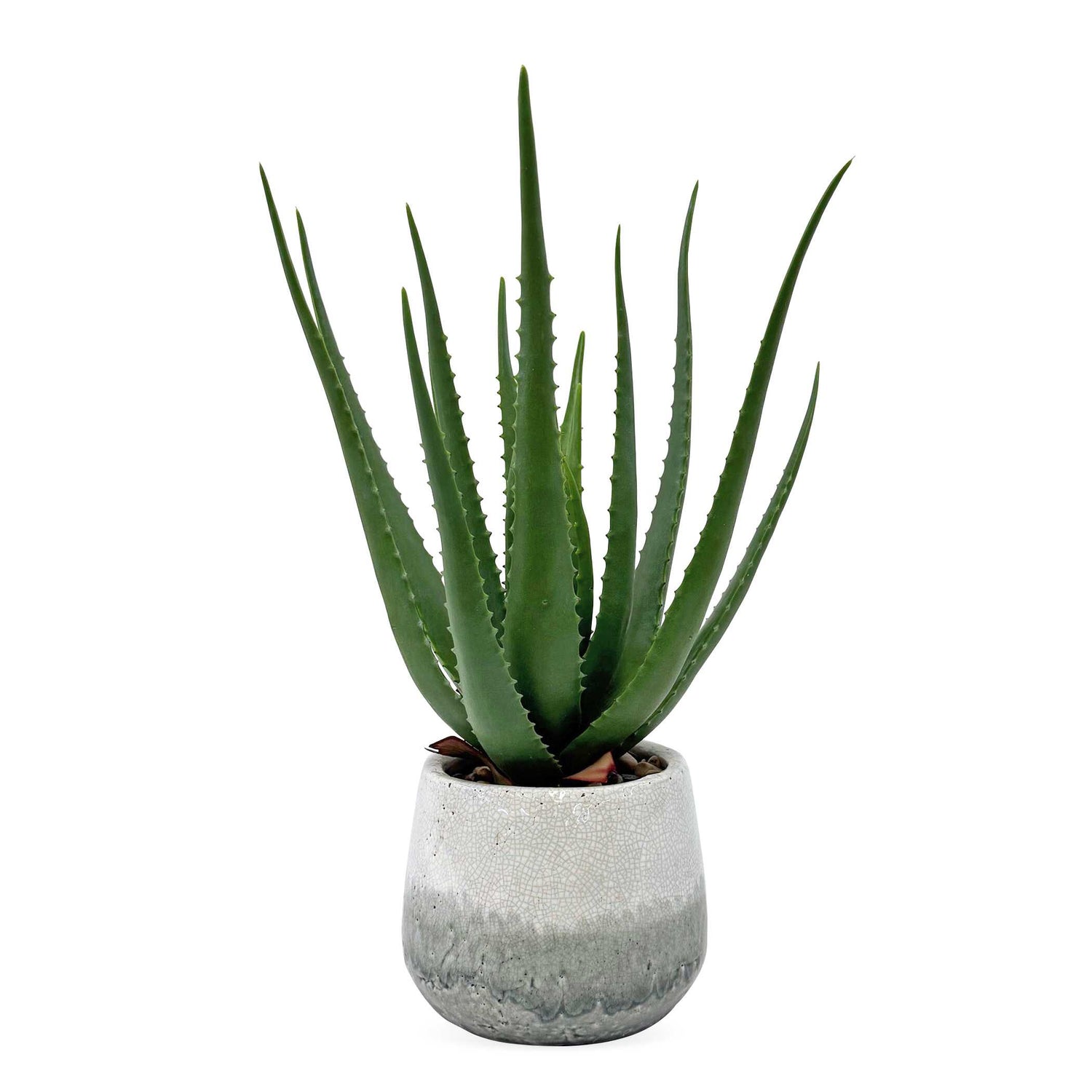 Uttermost Veranda Indoor-Outdoor Aloe Plant