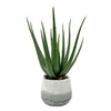 Uttermost Veranda Indoor-Outdoor Aloe Plant