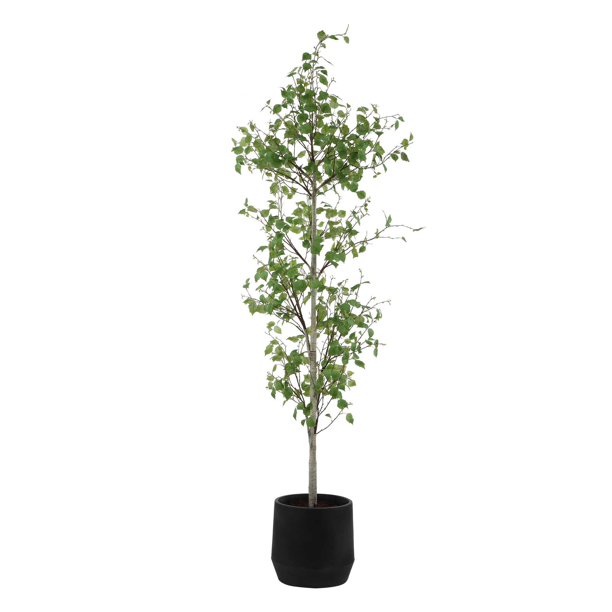 Uttermost Boreal Potted Birch Tree