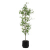 Uttermost Boreal Potted Birch Tree