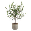 Uttermost Solea Olive Accent & Textured Vase