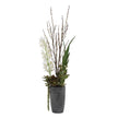Uttermost Eterna Orchid Centerpiece & Vase