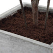 Uttermost Sonora Olive Tree In Planter