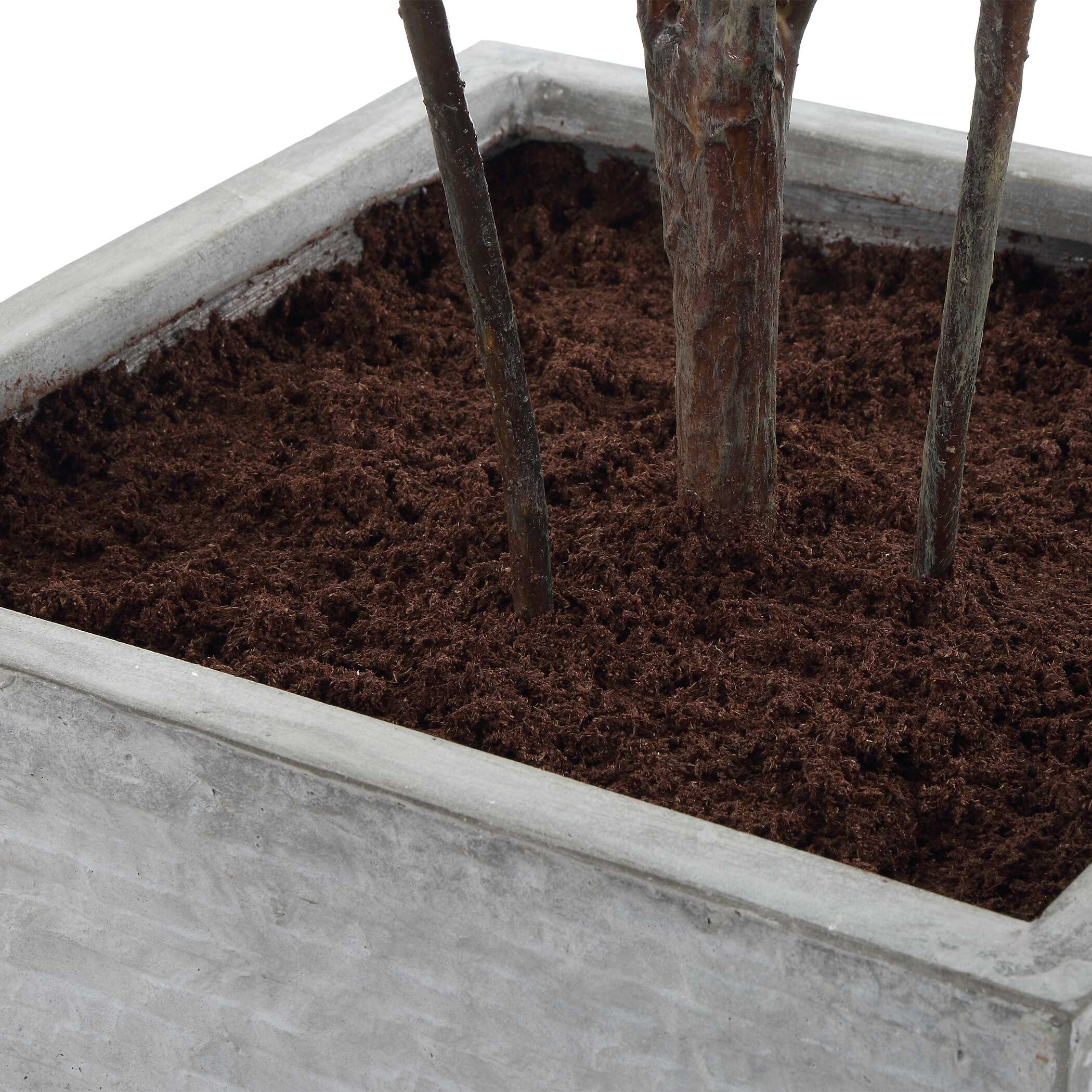 Uttermost Sonora Olive Tree In Planter