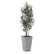 Uttermost Sonora Olive Tree In Planter