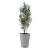 Uttermost Sonora Olive Tree In Planter