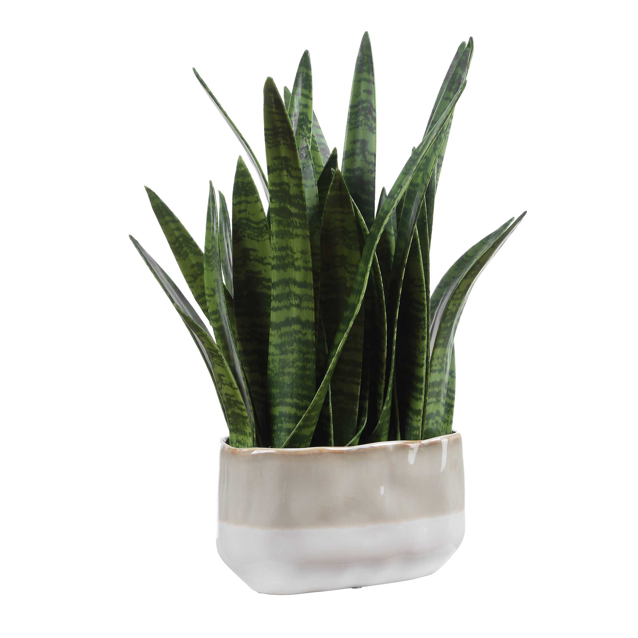 Uttermost Sansera Snake Accent Plant