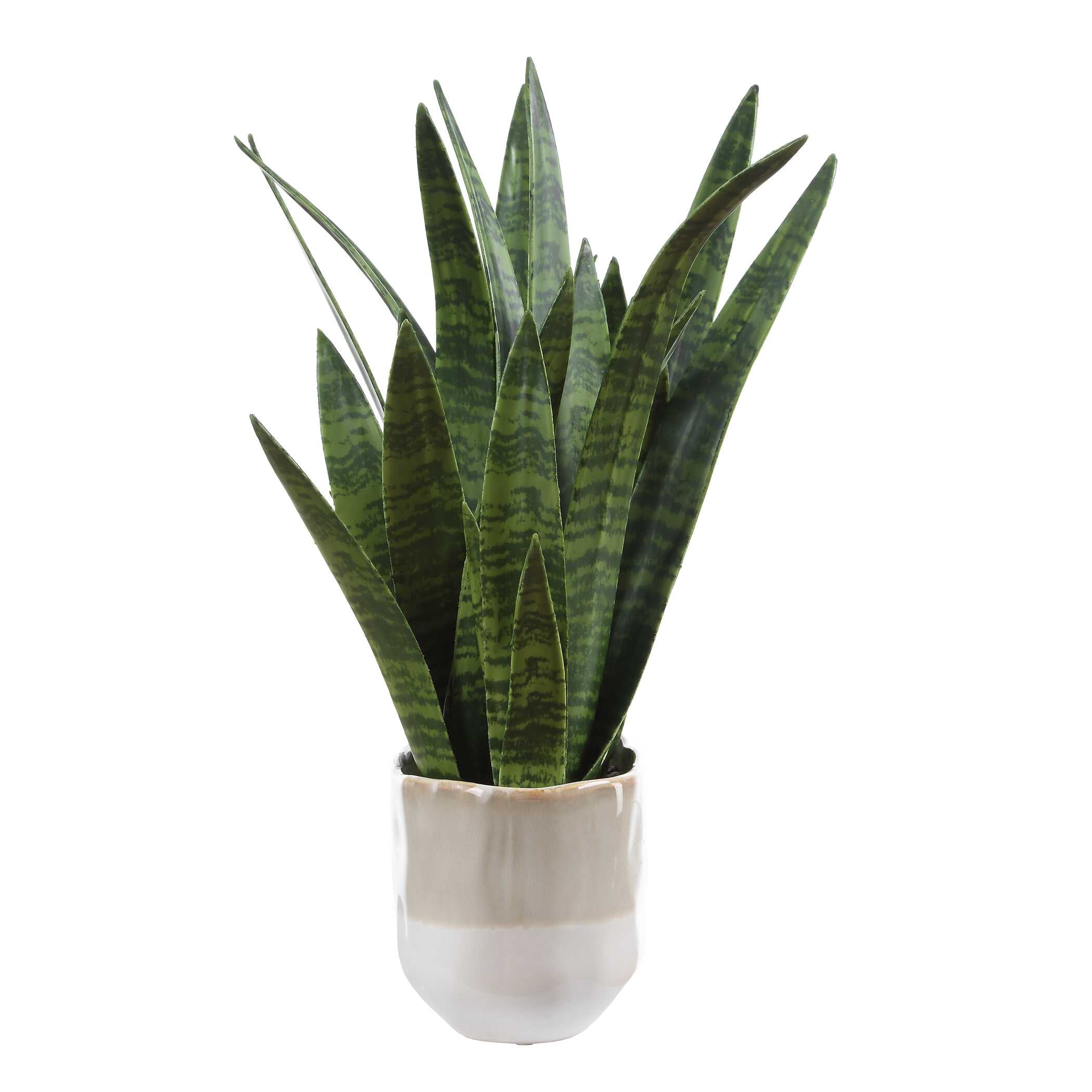 Uttermost Sansera Snake Accent Plant