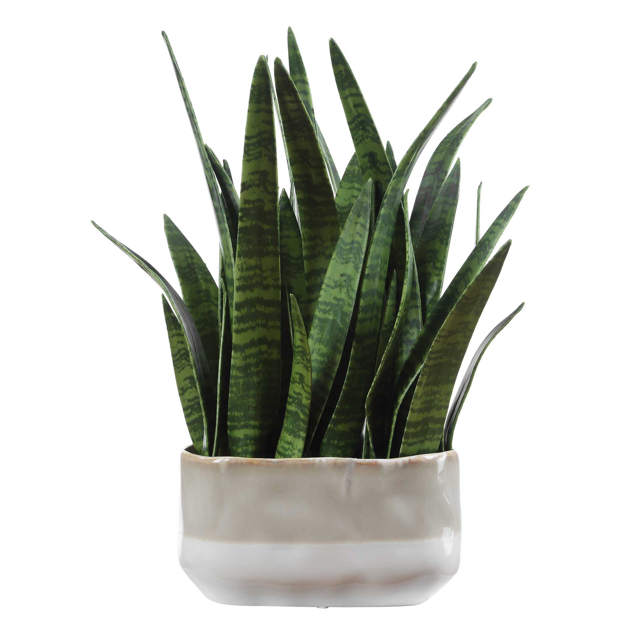 Uttermost Sansera Snake Accent Plant