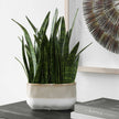 Uttermost Sansera Snake Accent Plant