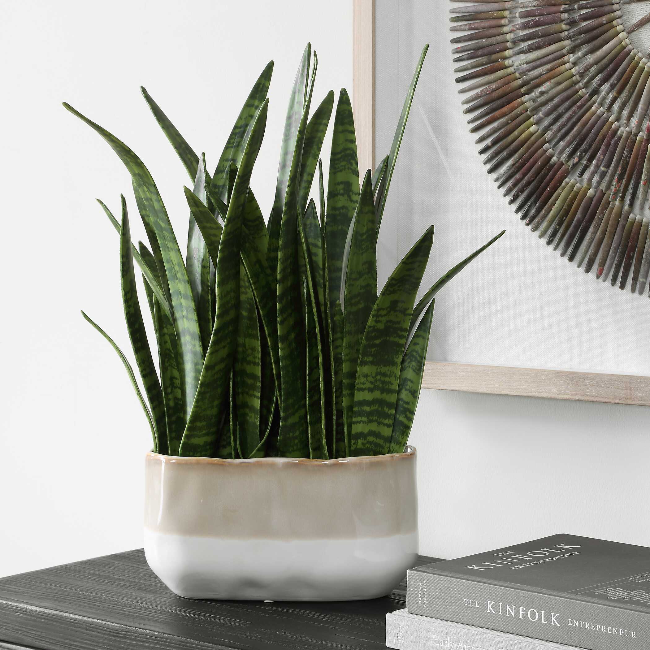 Uttermost Sansera Snake Accent Plant