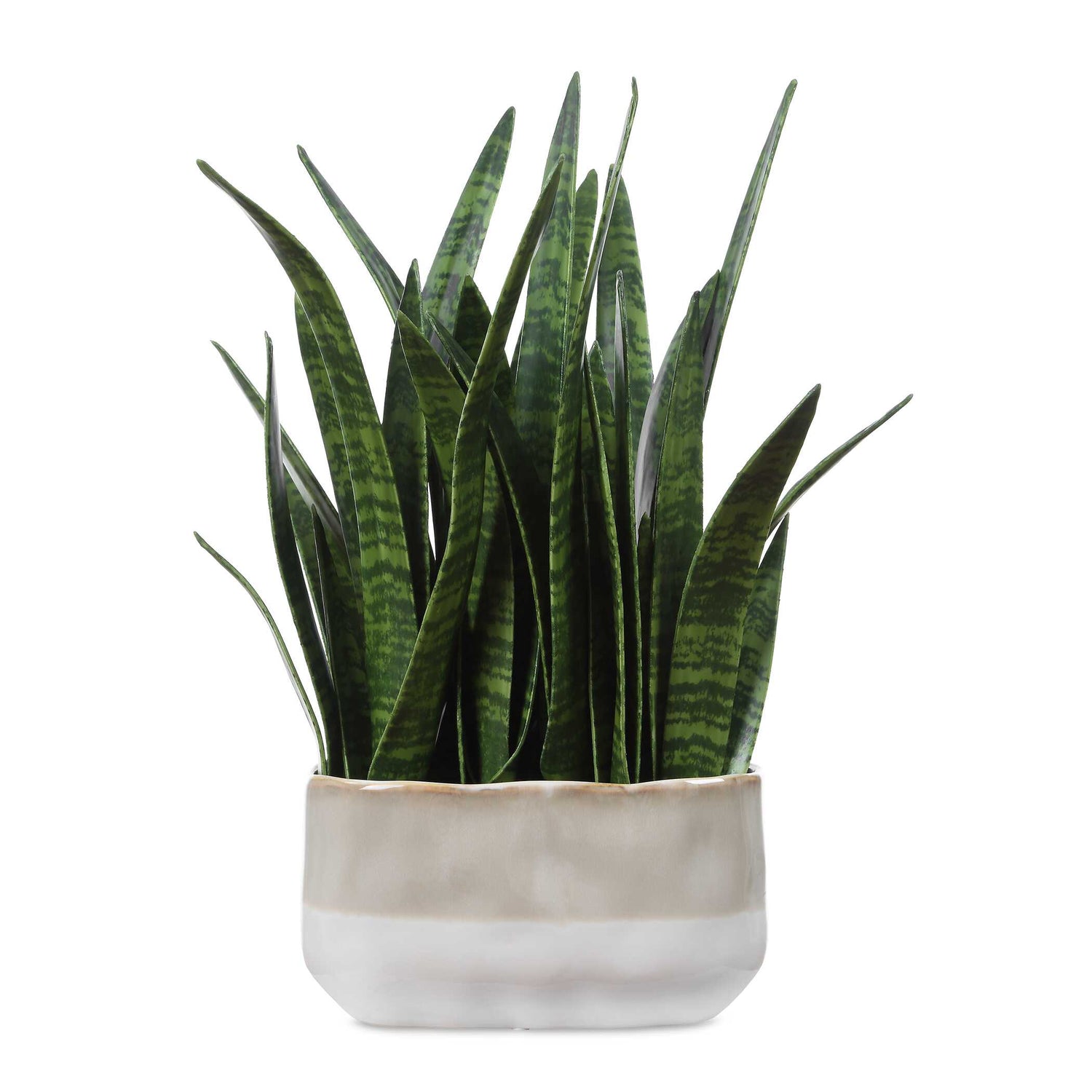 Uttermost Sansera Snake Accent Plant