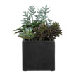 Uttermost Greystone Indoor-Outdoor Succulent