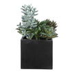 Uttermost Greystone Indoor-Outdoor Succulent