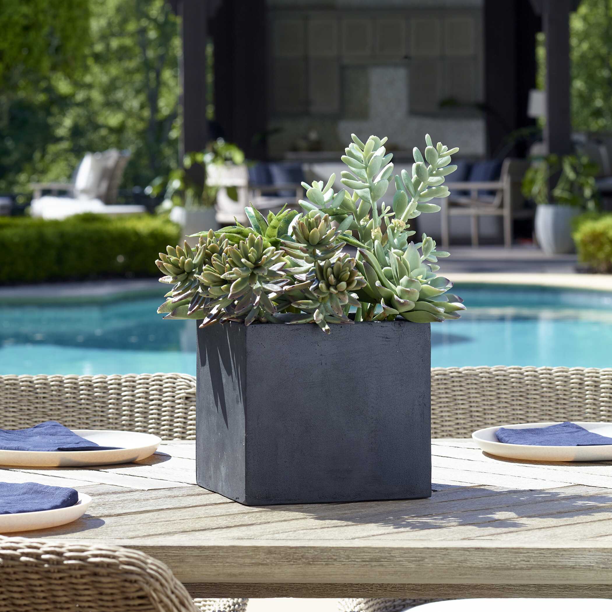 Uttermost Greystone Indoor-Outdoor Succulent
