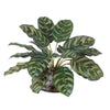 Uttermost Peacock Plant Accent