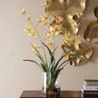 Uttermost Spider Orchid In Glass Vase