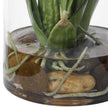 Uttermost Spider Orchid In Glass Vase