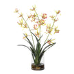 Uttermost Spider Orchid In Glass Vase