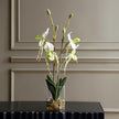 Uttermost Lady Slipper Orchid In Glass Vase