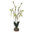 Uttermost Lady Slipper Orchid In Glass Vase