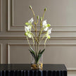 Uttermost Lady Slipper Orchid In Glass Vase