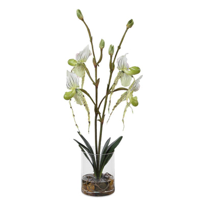 Uttermost Lady Slipper Orchid In Glass Vase