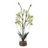 Uttermost Lady Slipper Orchid In Glass Vase