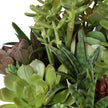 Uttermost Mico Indoor-Outdoor Succulent Centerpiece
