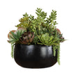 Uttermost Mico Indoor-Outdoor Succulent Centerpiece
