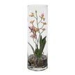 Uttermost Mariposa Orchid