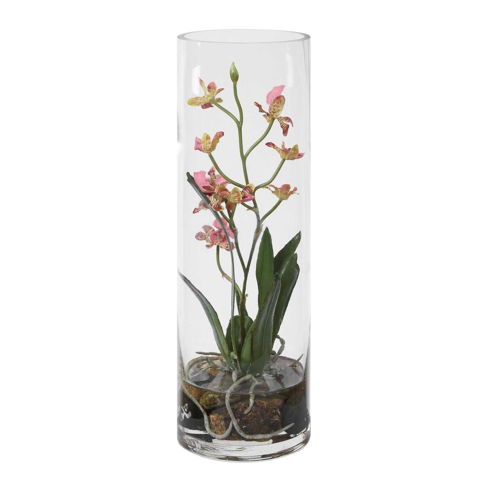 Uttermost Mariposa Orchid