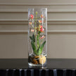 Uttermost Mariposa Orchid