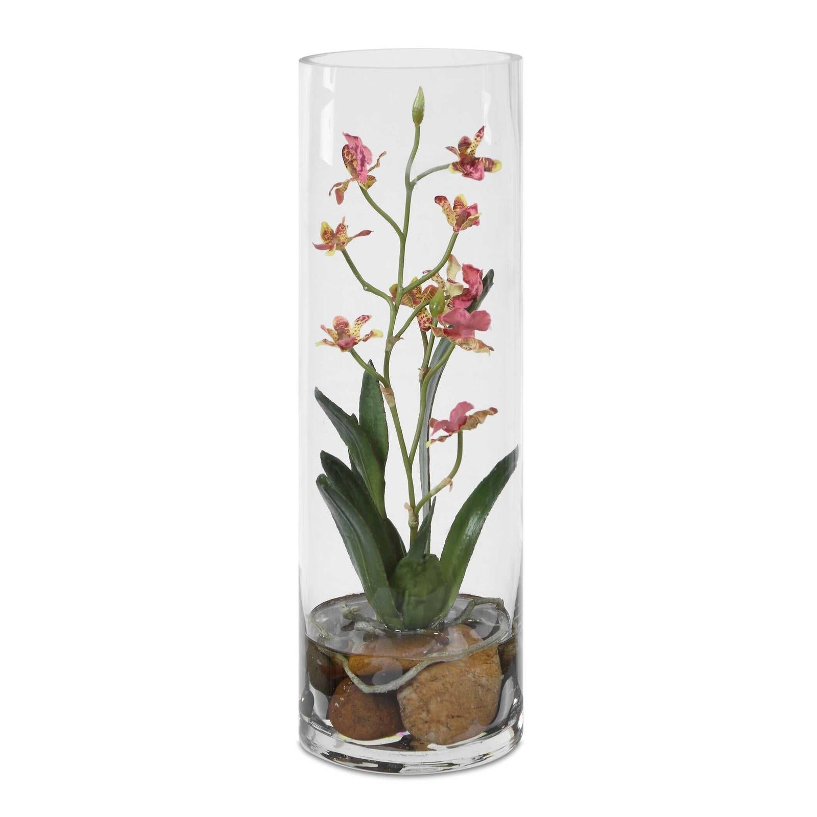 Uttermost Mariposa Orchid