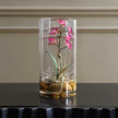 Uttermost Mariposa Orchid