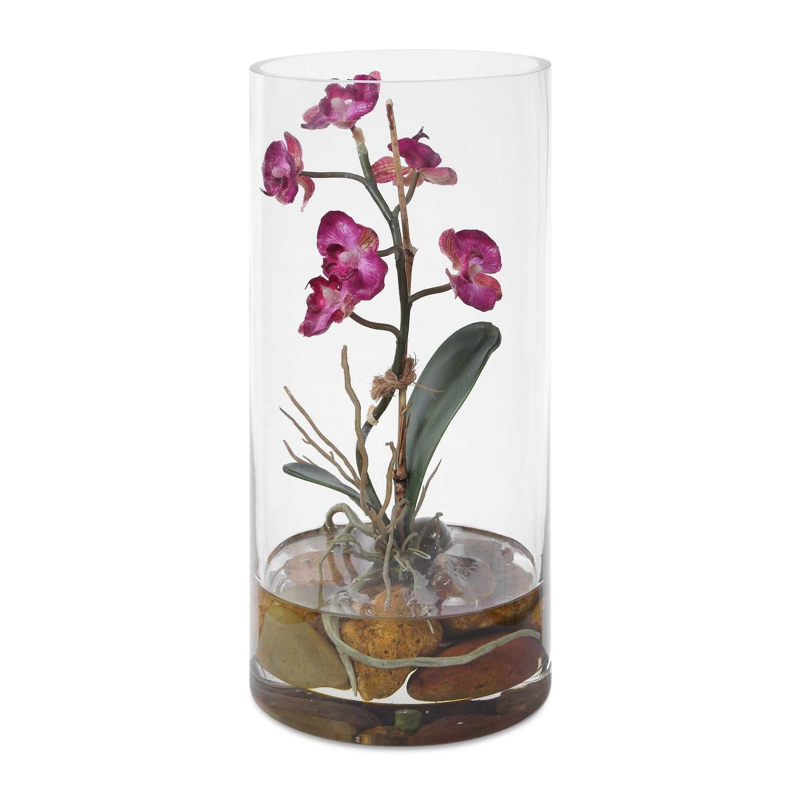 Uttermost Mariposa Orchid