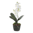 Uttermost Laris Orchid Drop-In