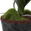 Uttermost Laris Orchid Drop-In