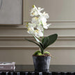 Uttermost Laris Orchid Drop-In